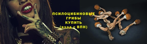соль курить ск Армянск