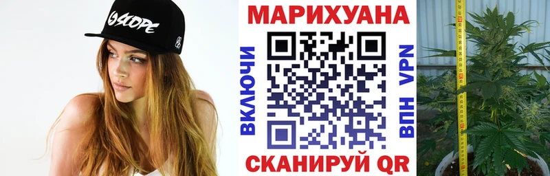 Каннабис White Widow  продажа наркотиков  Соликамск 